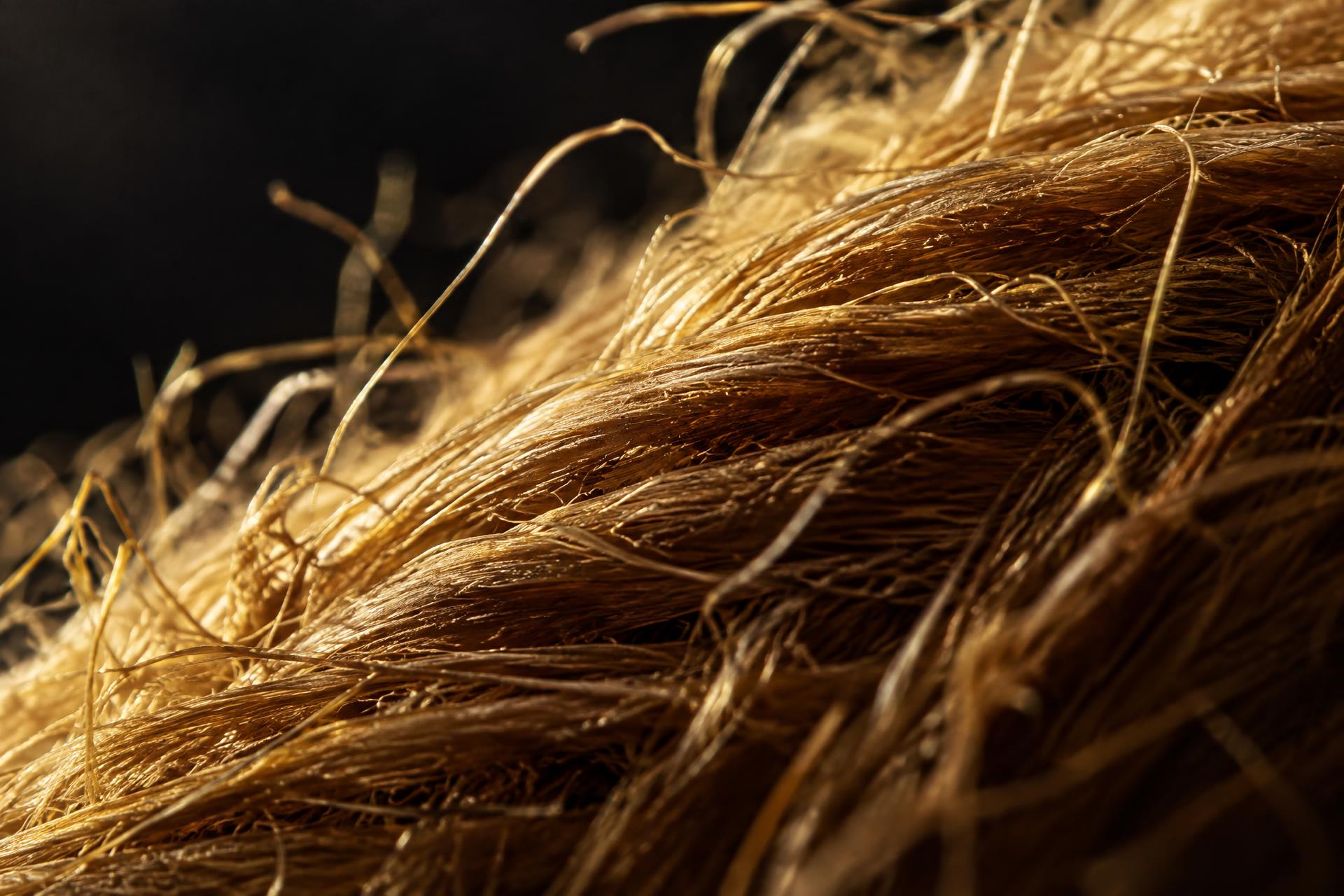 Close detail of refined coconut coir fibres